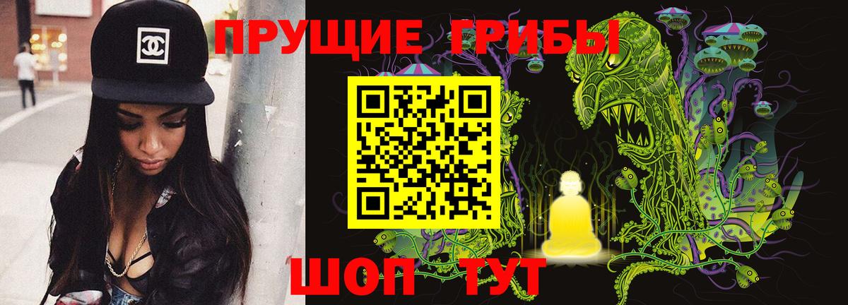 Псилоцибиновые грибы Psilocybine cubensis Знаменск